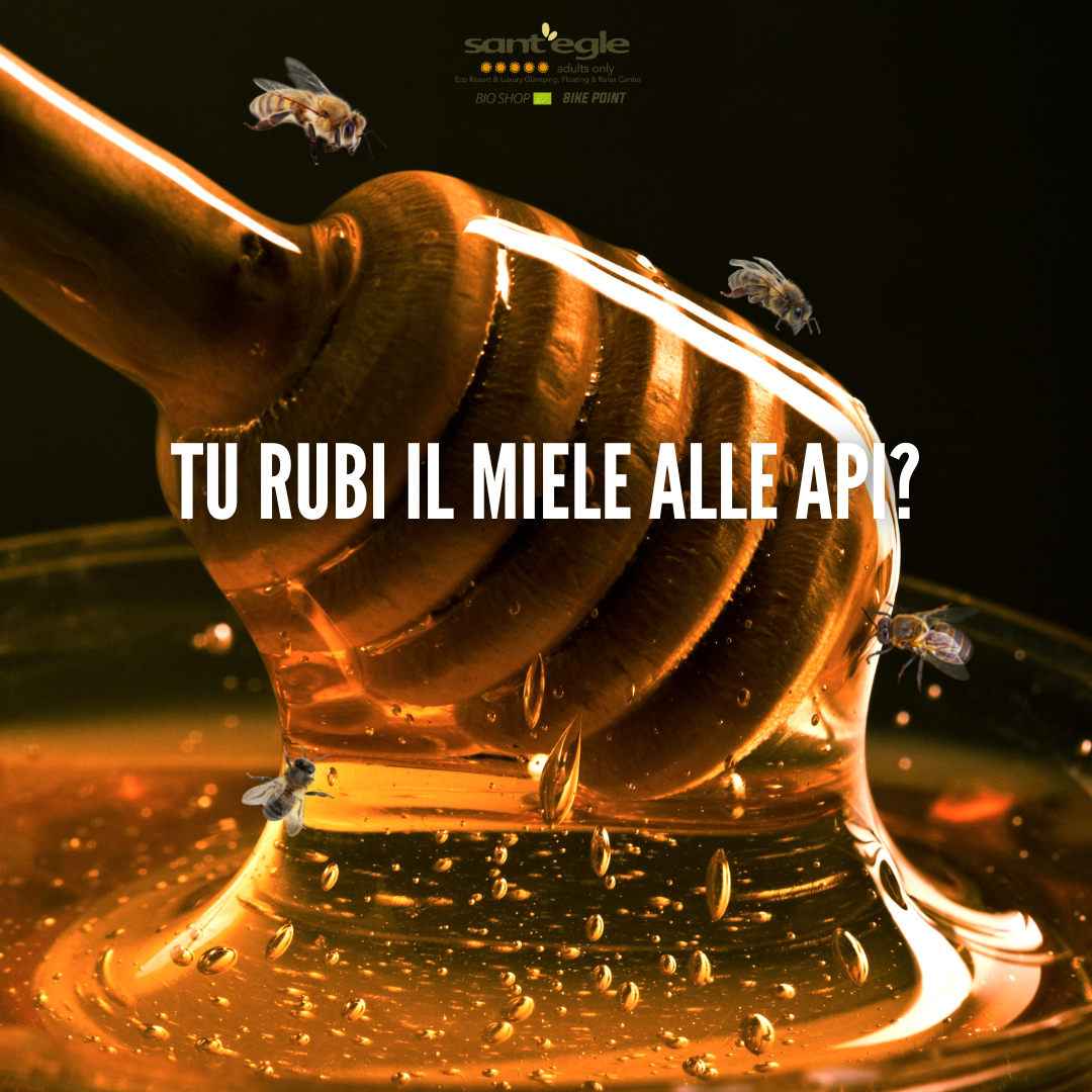NON RUBARE IL MIELE ALLE API