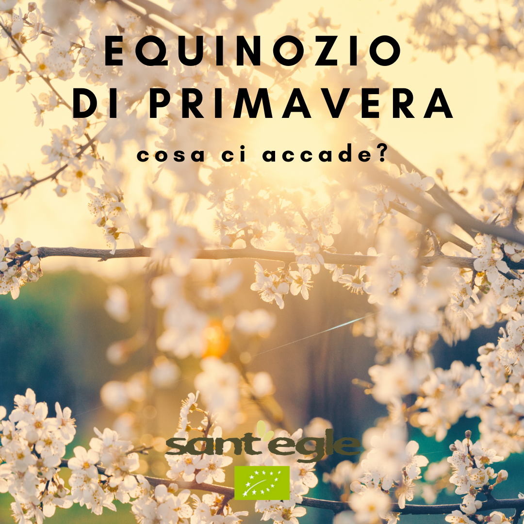 Cosa ci accade nel giorno dell'Equinozio di Primavera?