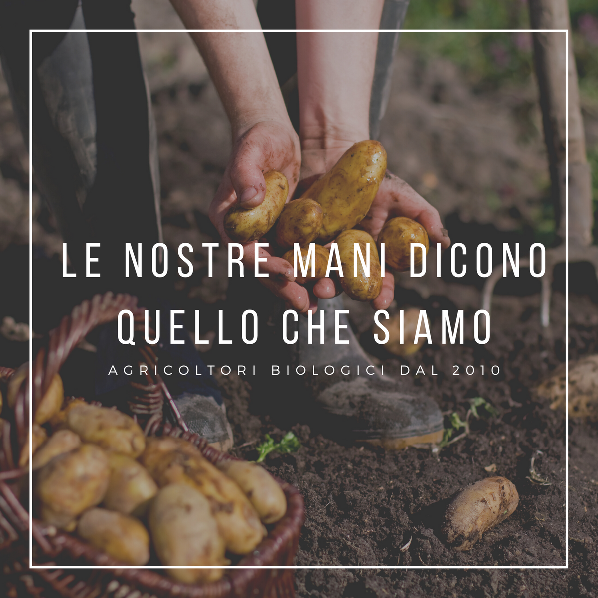 Amore per la terra