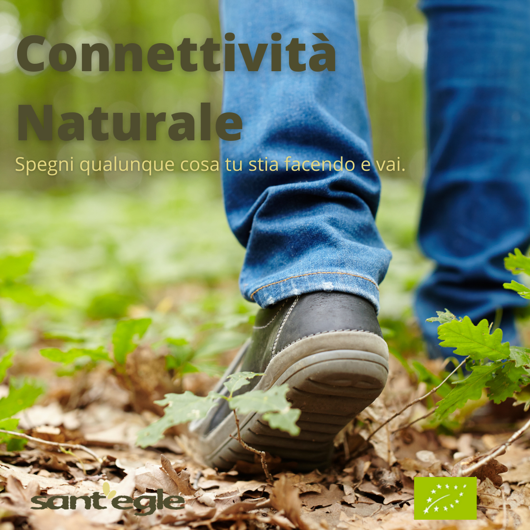 CONNETTIVITA' NATURALE