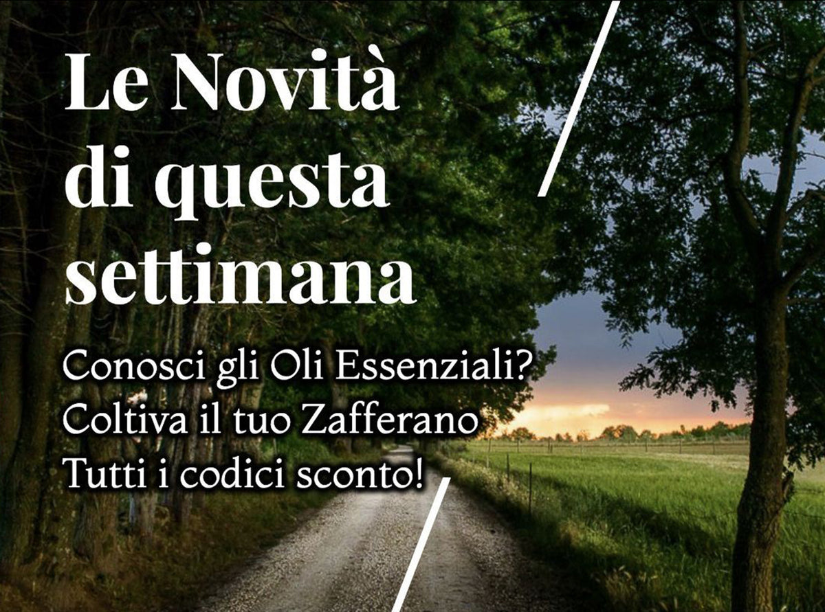 Oli Essenziali, bulbi, live