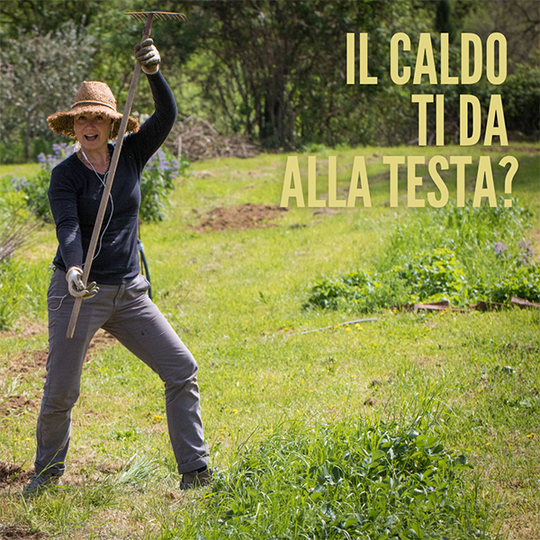 IL CALDO TI DA ALLA TESTA?