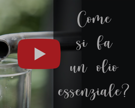 Albert Einstein disse ''Ogni cosa che puoi immaginare, la natura l'ha già creata''