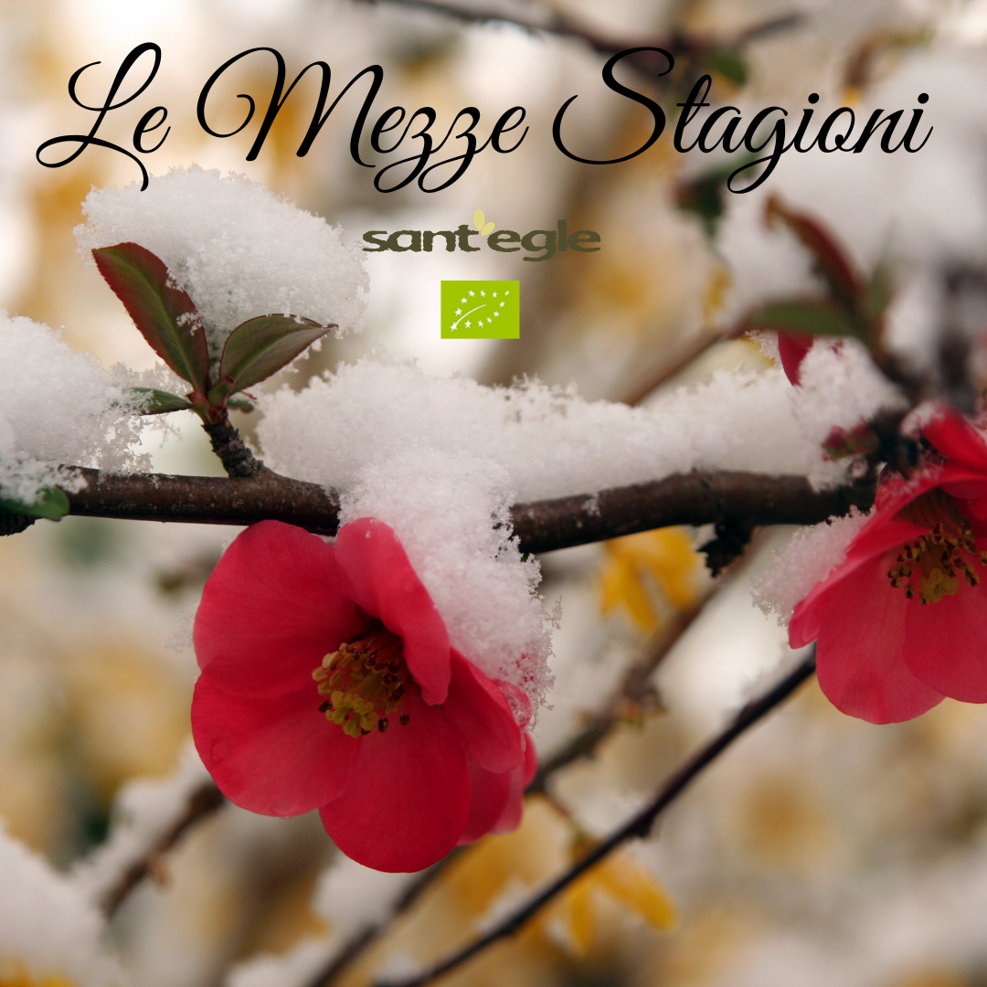 Le mezze stagioni, ci sono!