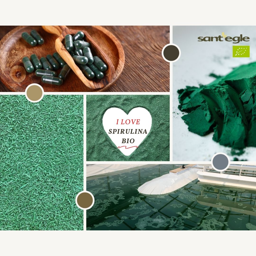 PERCHE' COLTIVIAMO LA SPIRULINA BIOLOGICA A SANT'EGLE?