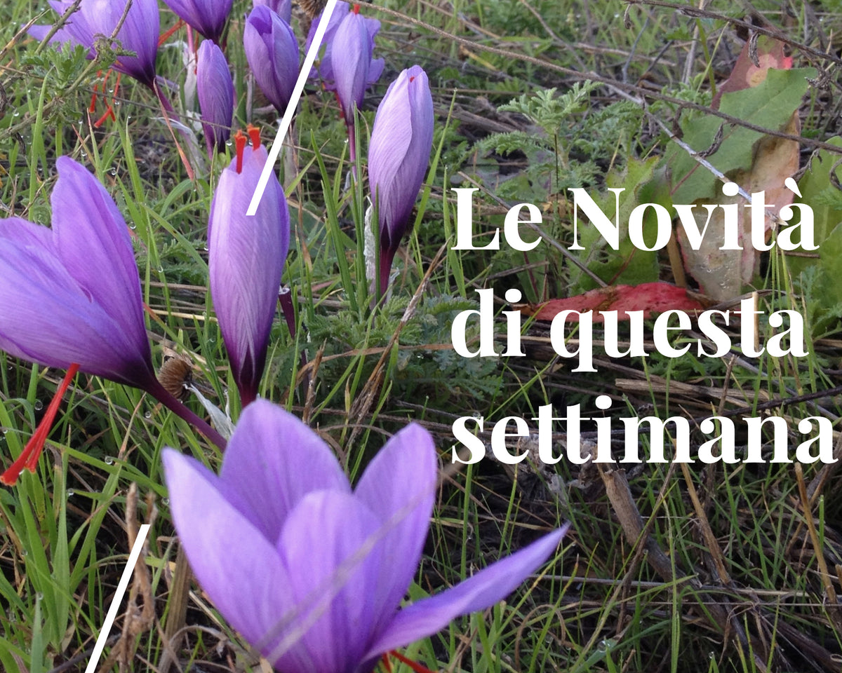 Mese della salute
