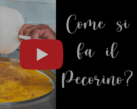 COME NASCONO I GRANDI PROGETTI SOSTENIBILI?