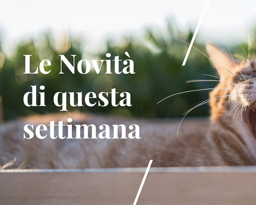 Buonsenso e Rispetto