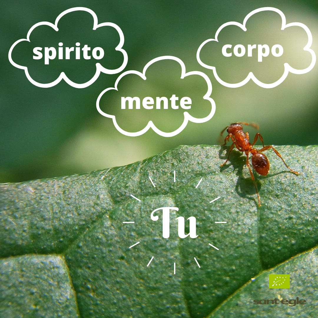 Mens sana in corpore sano
