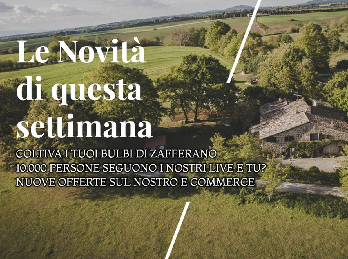 Bulbi, galline, live, prodotti in offerta