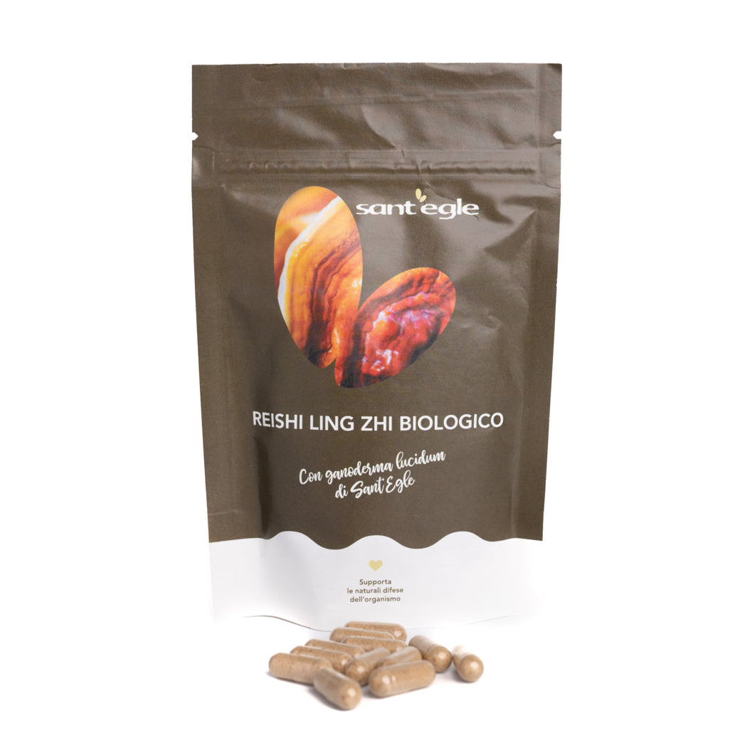 Reishi - Ganoderma Lucidum - Ling Zhi bio, 90 capsule