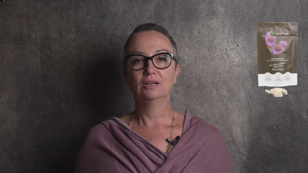 Carica video: 