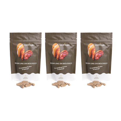 Reishi - Ganoderma Lucidum - Ling Zhi bio, 90 capsule