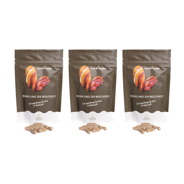 Reishi - Ganoderma Lucidum - Ling Zhi bio, 90 capsule