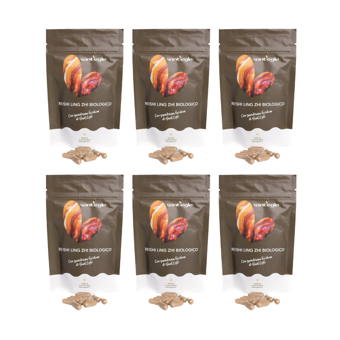 Reishi - Ganoderma Lucidum - Ling Zhi bio, 90 capsule