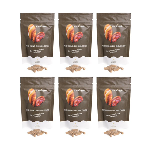 Reishi - Ganoderma Lucidum - Ling Zhi bio, 90 capsule