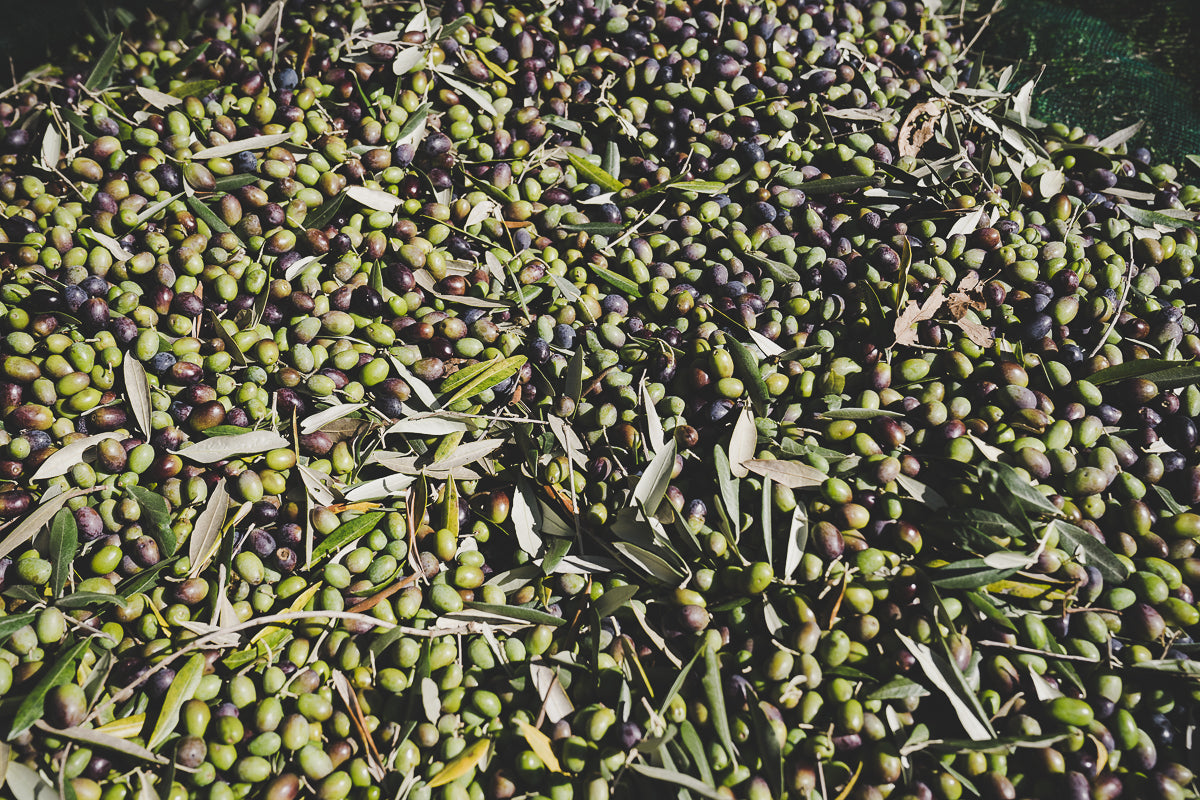 Olio Extravergine d&