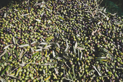 Olio Extravergine d&