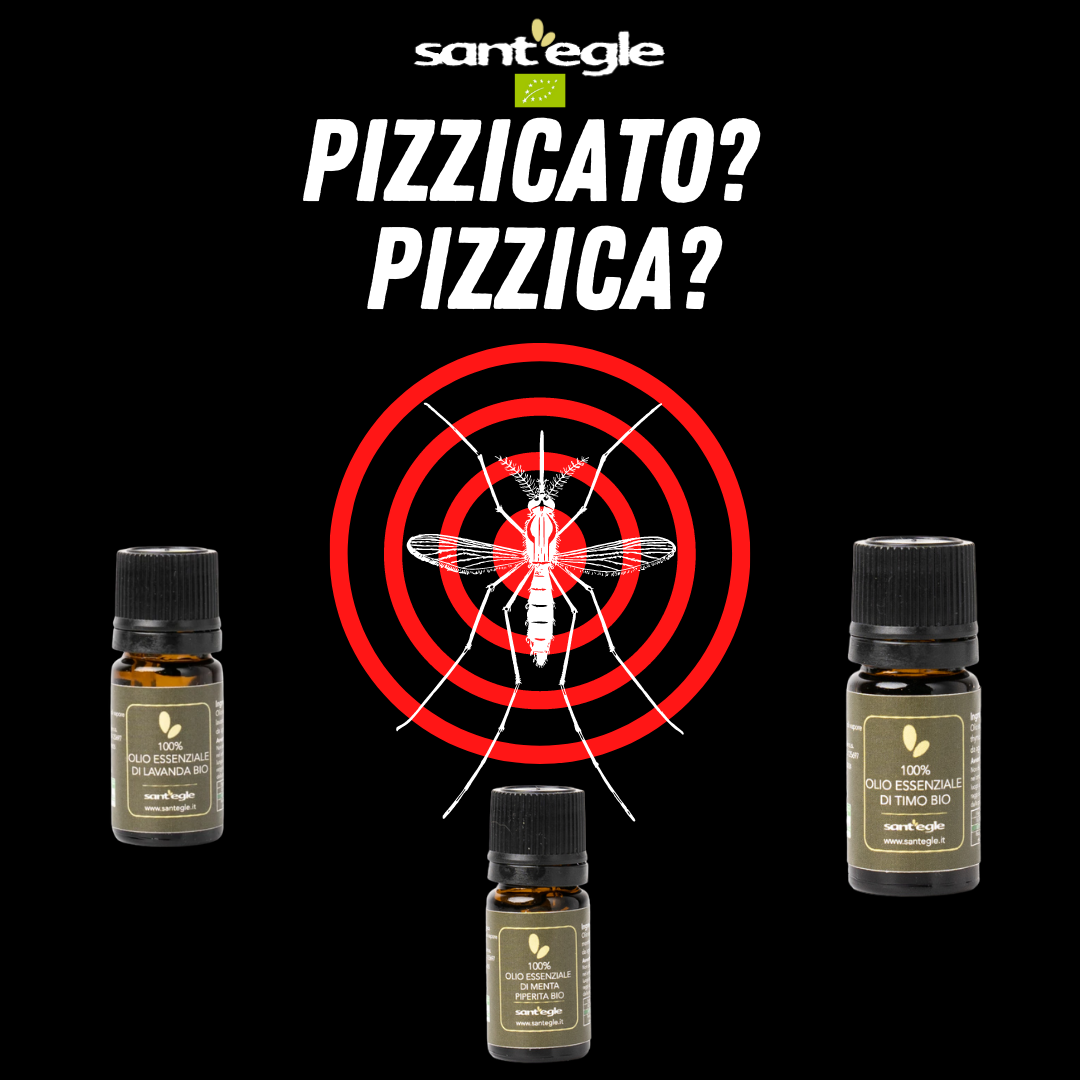 ANTI-MÜCKEN-SET, ätherische Öle Lavendel, Thymian und Pfefferminze 